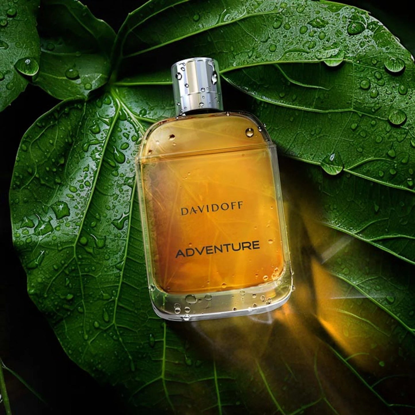 Davidoff Adventure Eau de Toillete 100 ml Hombre