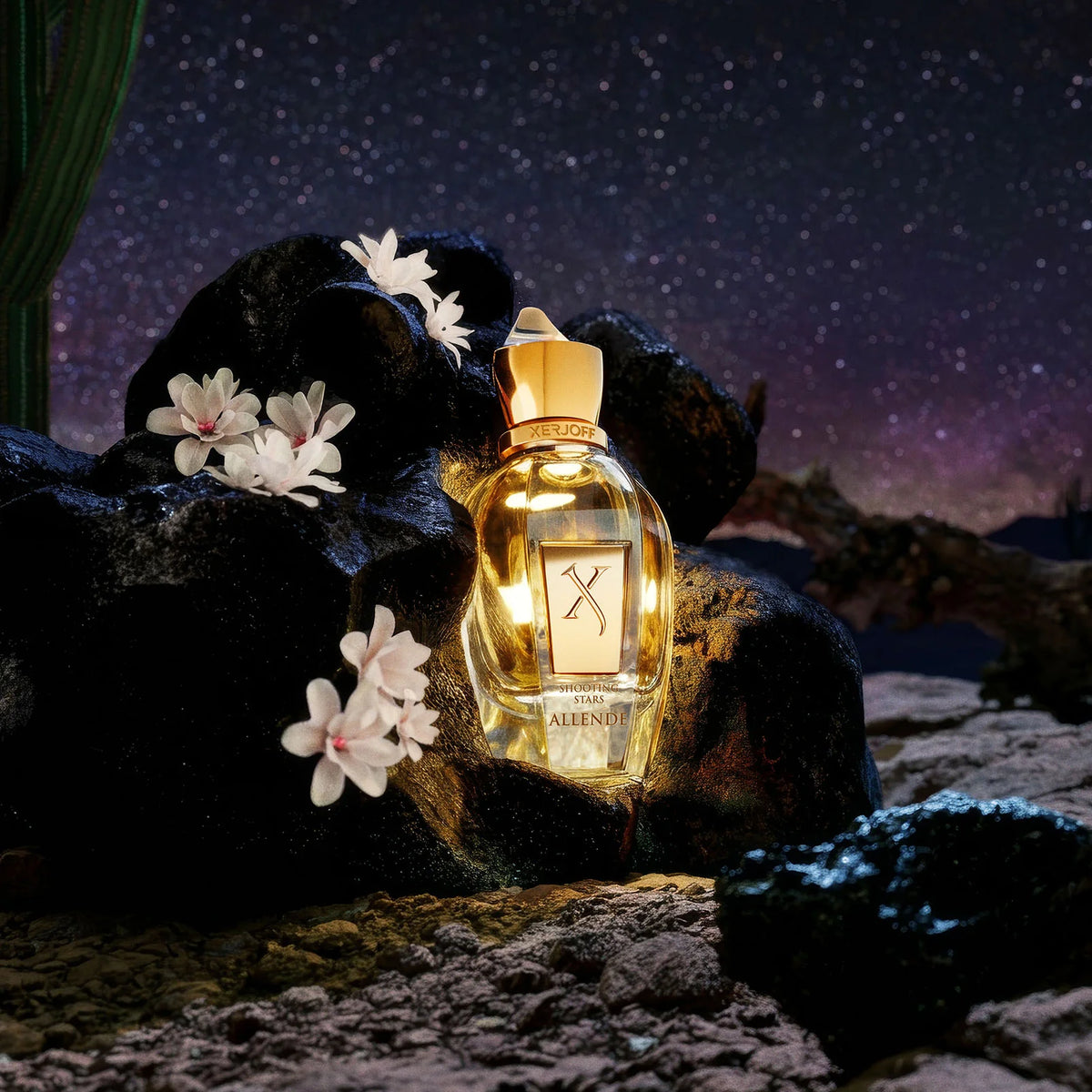 Xerjoff Shooting Stars Allende Eau de Parfum 50 ml Unisex