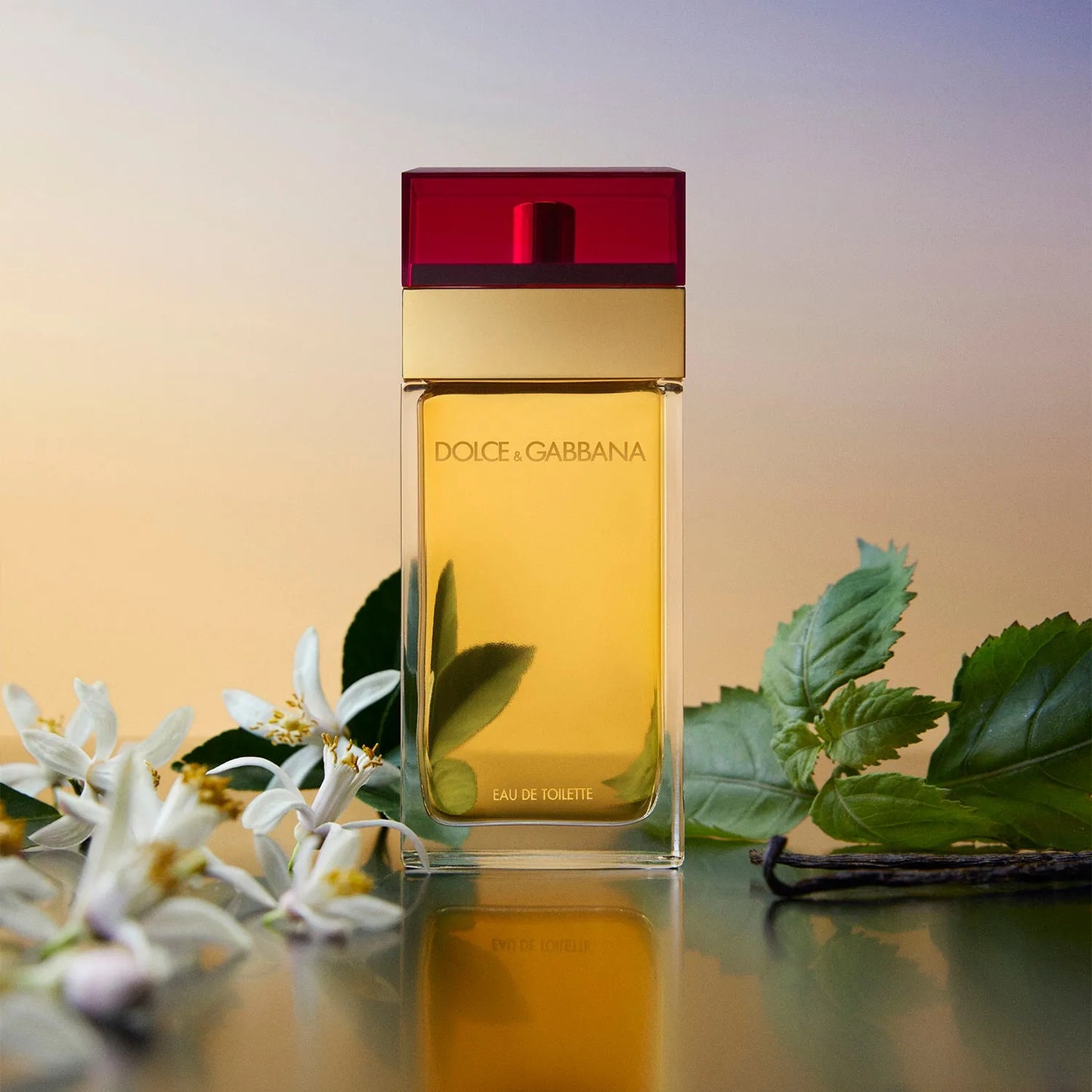 Dolce & Gabbana Pour Femme Eau de Toillete Mujer