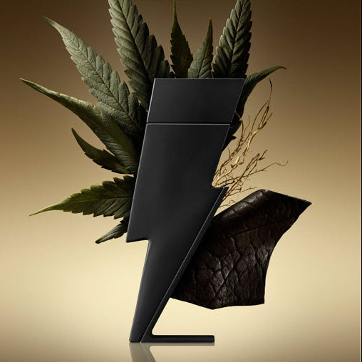 Carolina Herrera Bad Boy Le Parfum Eau de Parfum Masculino
