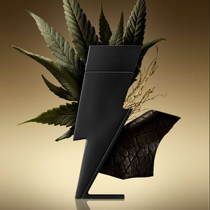 Carolina Herrera Bad Boy Le Parfum Eau de Parfum Masculino
