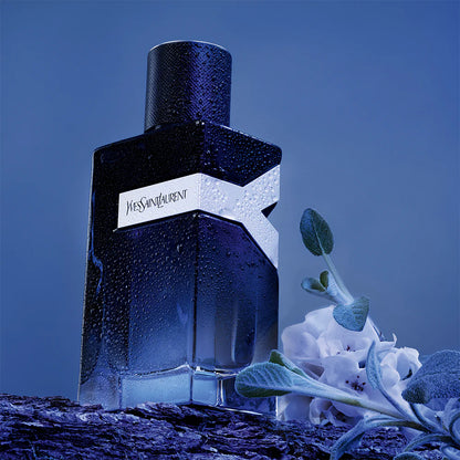 Yves Saint Laurent Y Eau de Parfum 100 ml Hombre