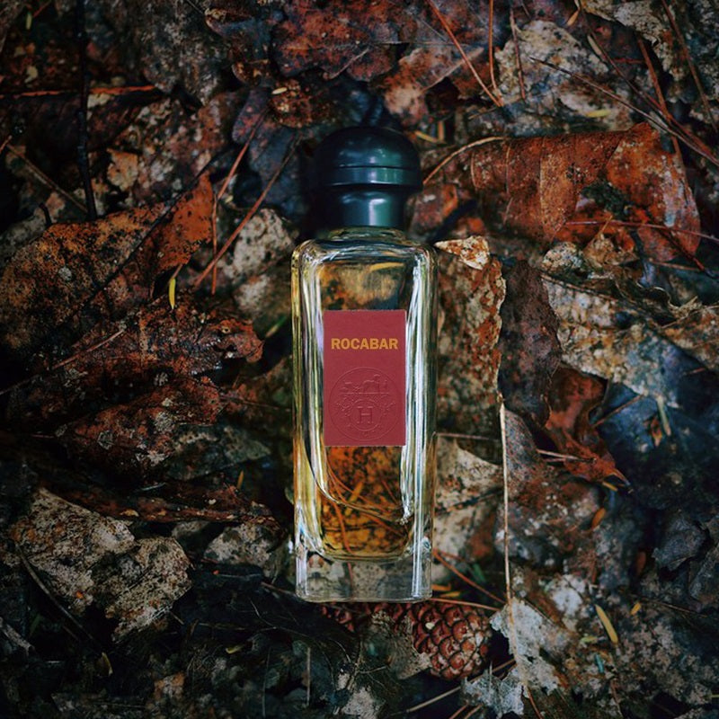 Hermès Rocabar Eau de Toillete 100 ml Hombre