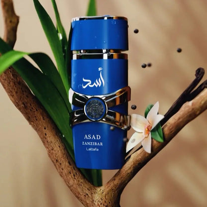 Lattafa Asad Zanzibar Eau de Parfum 100 ml Hombre
