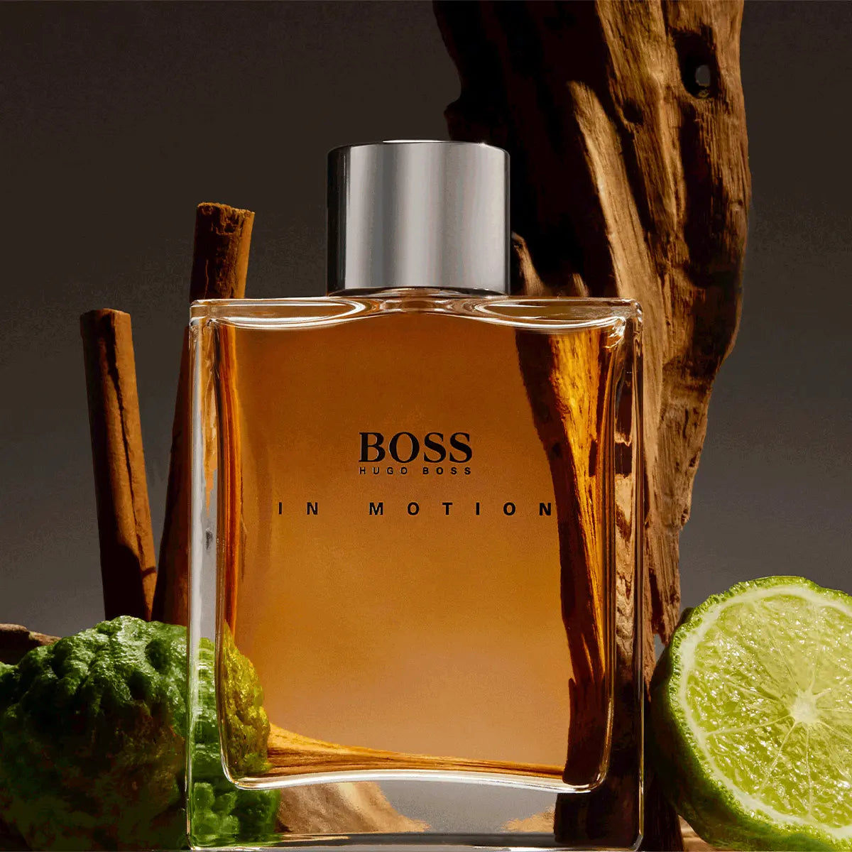 Hugo Boss In Motion Eau de Toilette 100 ml Masculino
