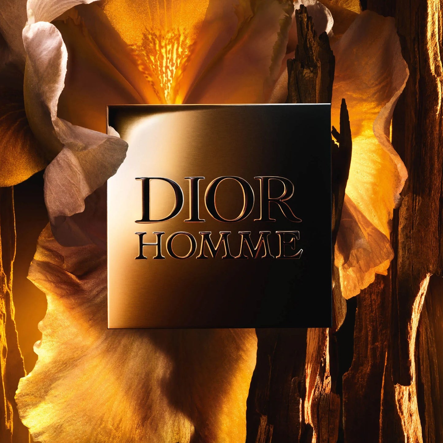 Dior Homme Parfum 75 ml Masculino