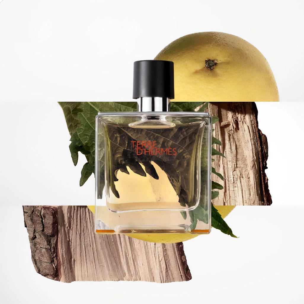 Hermès Terre d'Hermès Parfum for Men