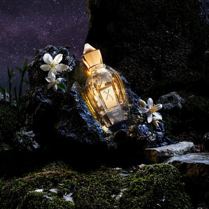 Xerjoff Shooting Stars Nio Eau de Parfum 50 ml Unisex