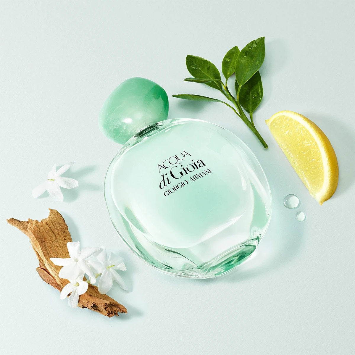Giorgio Armani Acqua Di Gioia Eau de Parfum 100 ml Mujer