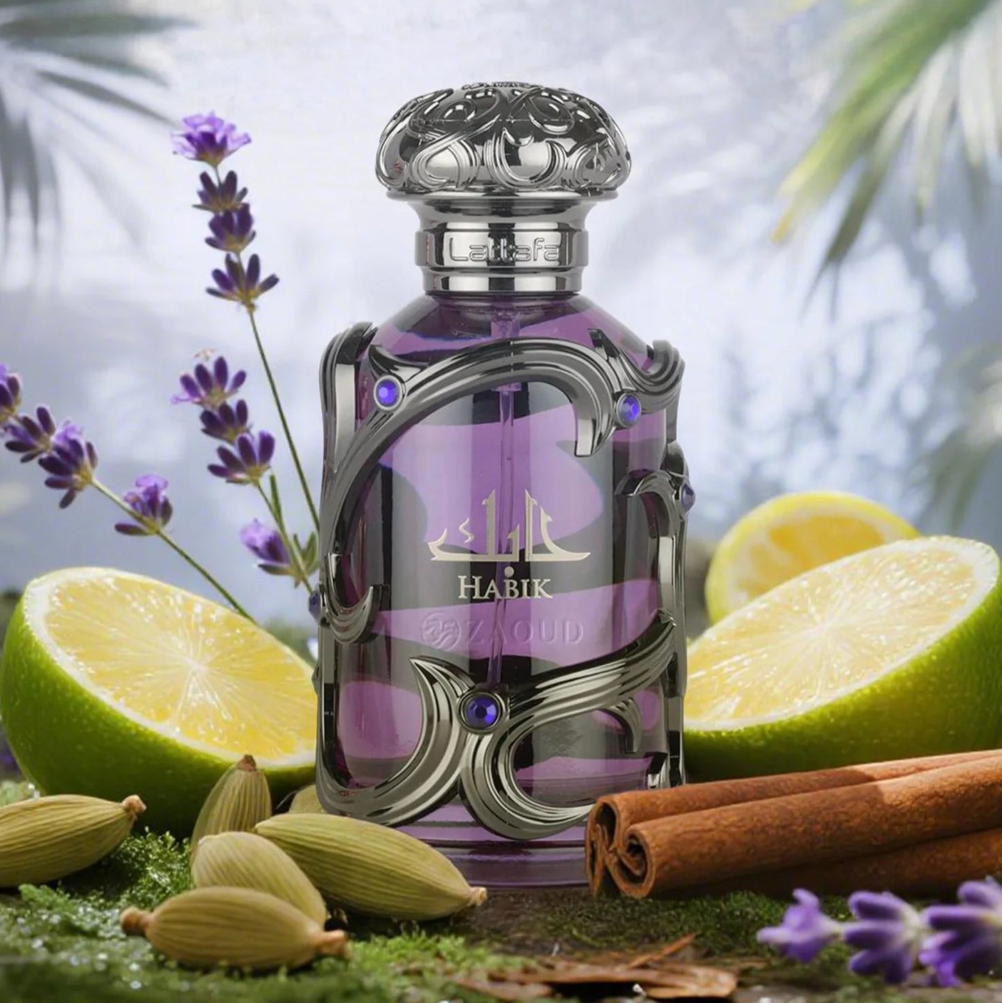 Lattafa Habik Eau de Parfum 100 ml Men