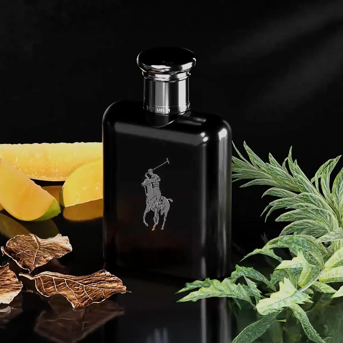 Ralph Lauren Polo Black Eau de Toillete Hombre
