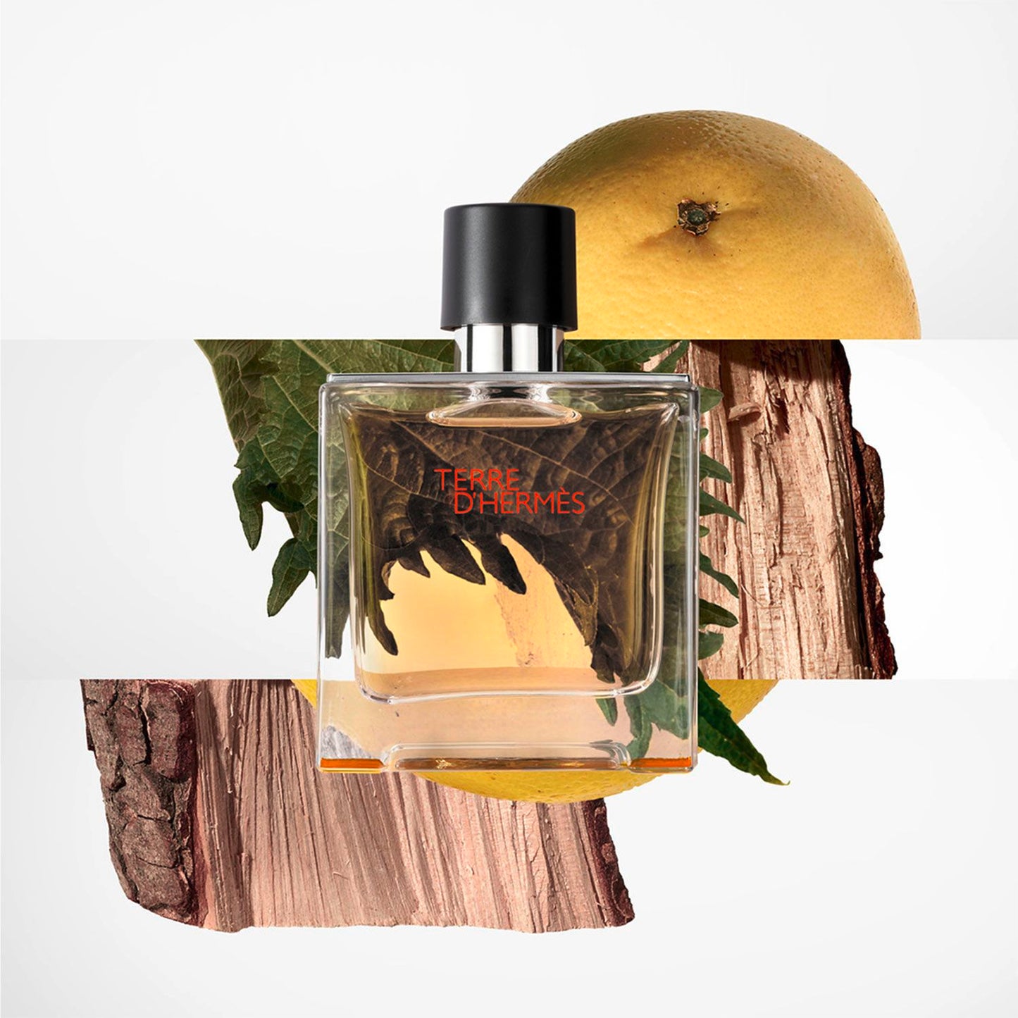 Hermès Terre d'Hermès Eau de Toillete Hombre