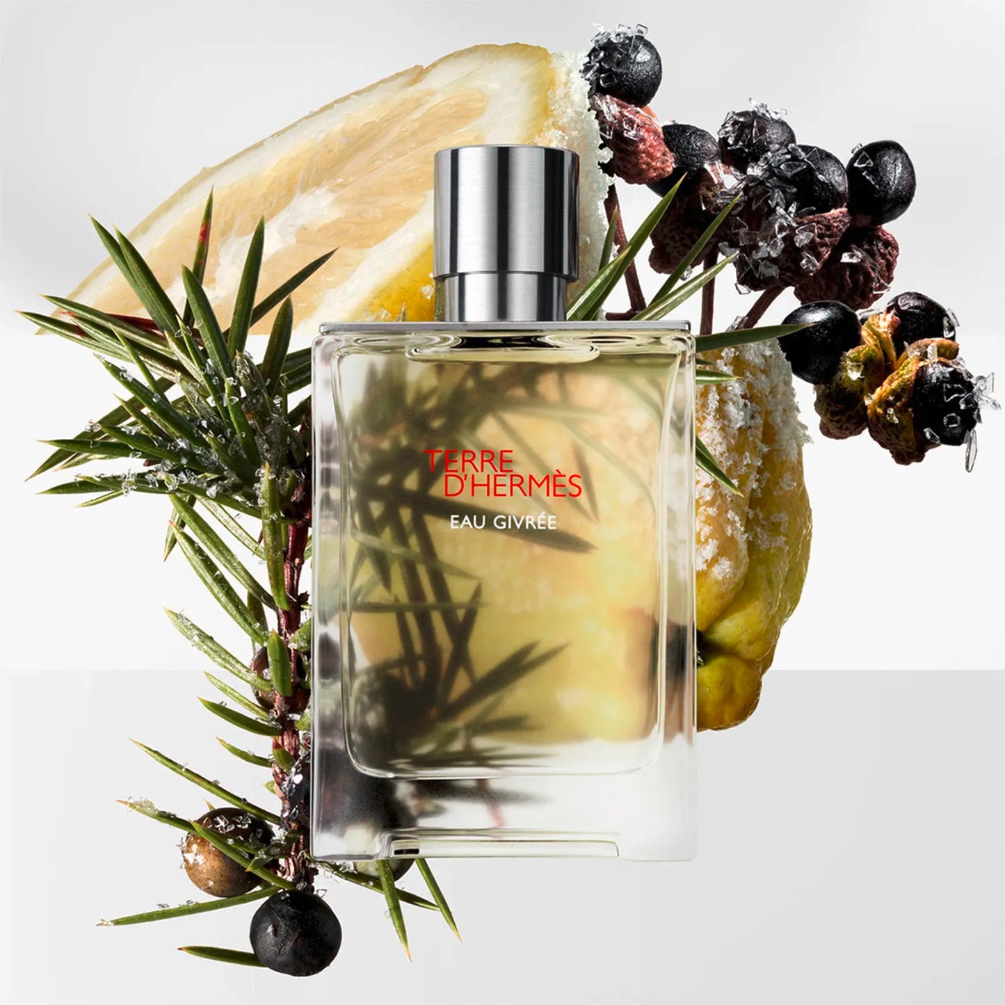 Hermès Terre d'Hermès Eau Givree Eau de Parfum 50 ml Hombre