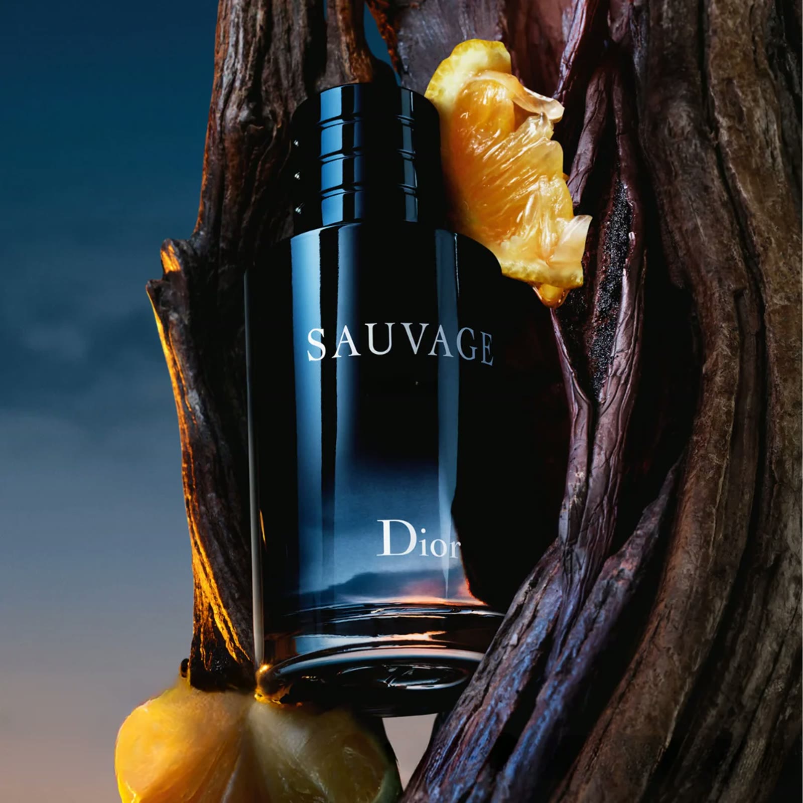 Masculino